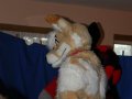 IMG_5905.JPG